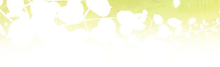 phía sau em, luôn có ta bên cạnh chapter 36.1 339