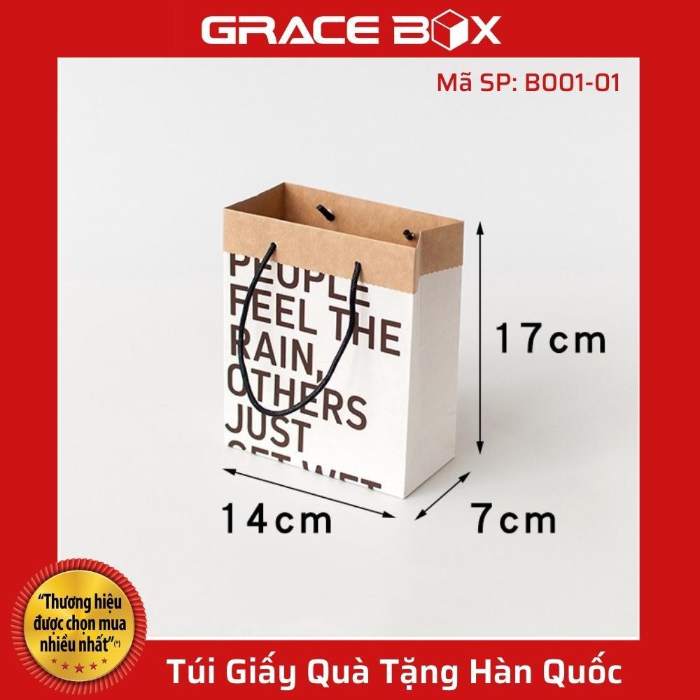 Túi Giấy Quà Tặng Hàn Quốc - Loại Cao Cấp