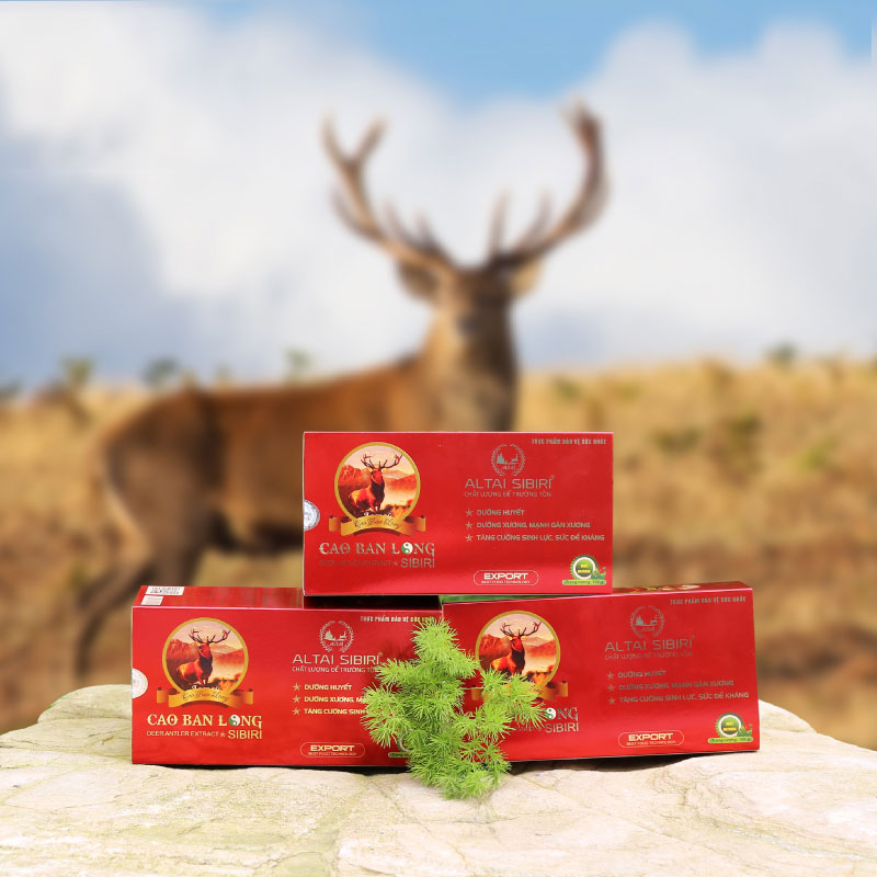 Cao Ban Long Sibiri - Hộp 50g - Hỗ trợ tốt cho xương khớp, bồi bổ sức khỏe, tăng cường sinh lực