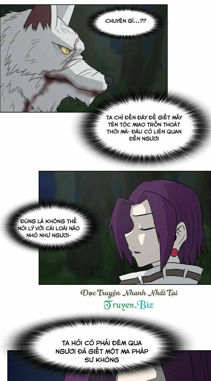 m. m. g. chapter 11 17