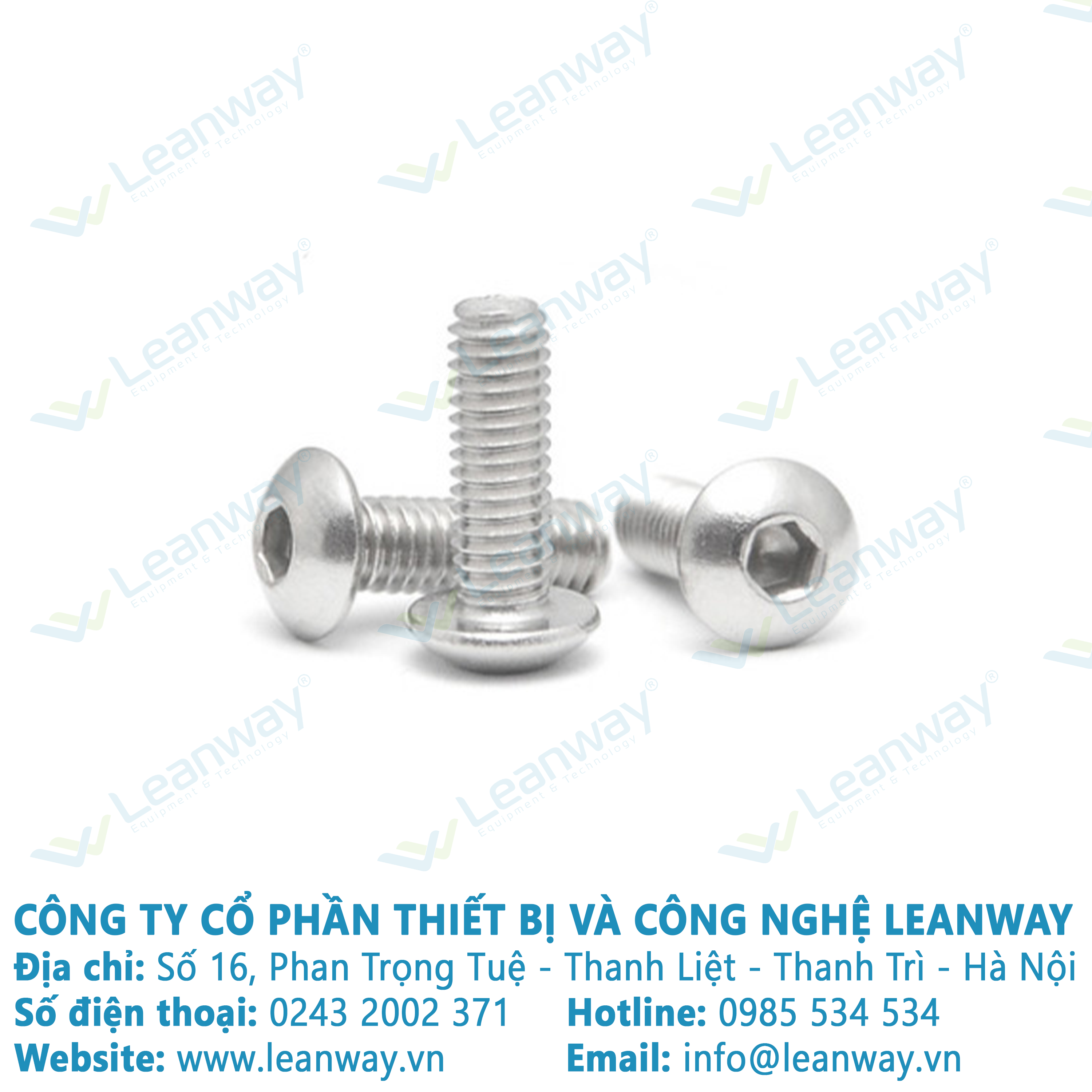 10 con Bulong đầu cầu inox 201