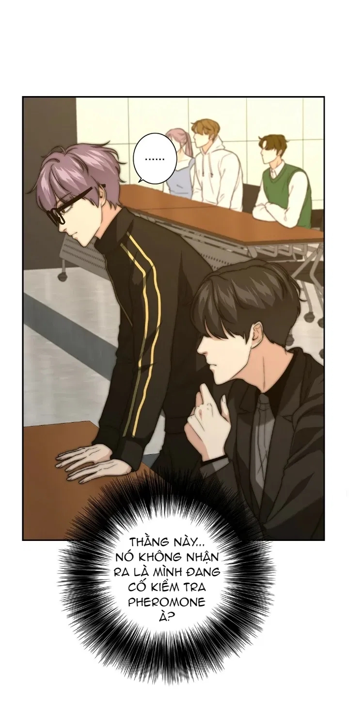 bí mật của omega k chapter 14 64