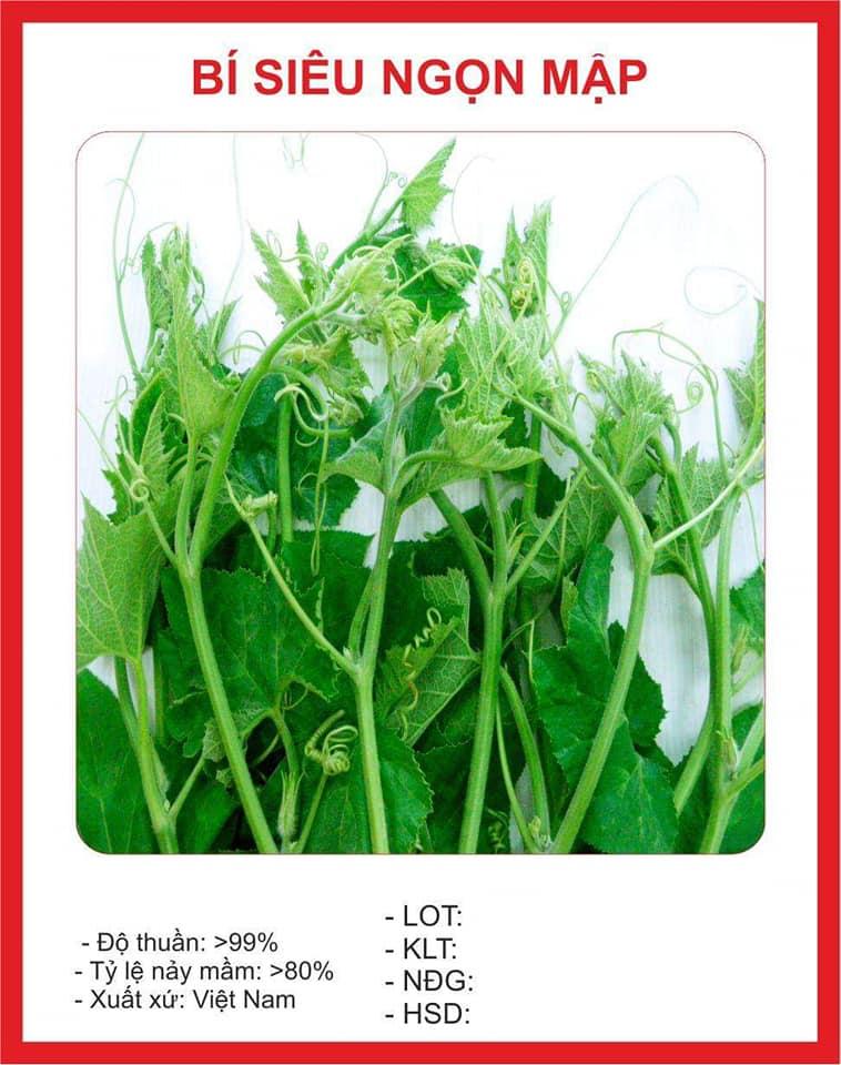 Hạt giống bí ngọn Siêu đọt Phú Nông