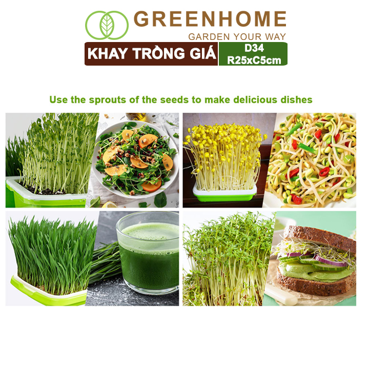 Bộ khay trồng giá, rau mầm, Greenhome, D34xR25xC5cm, nhựa nguyên sinh, an toàn, dễ trồng tại nhà, nhiều màu lựa chọn