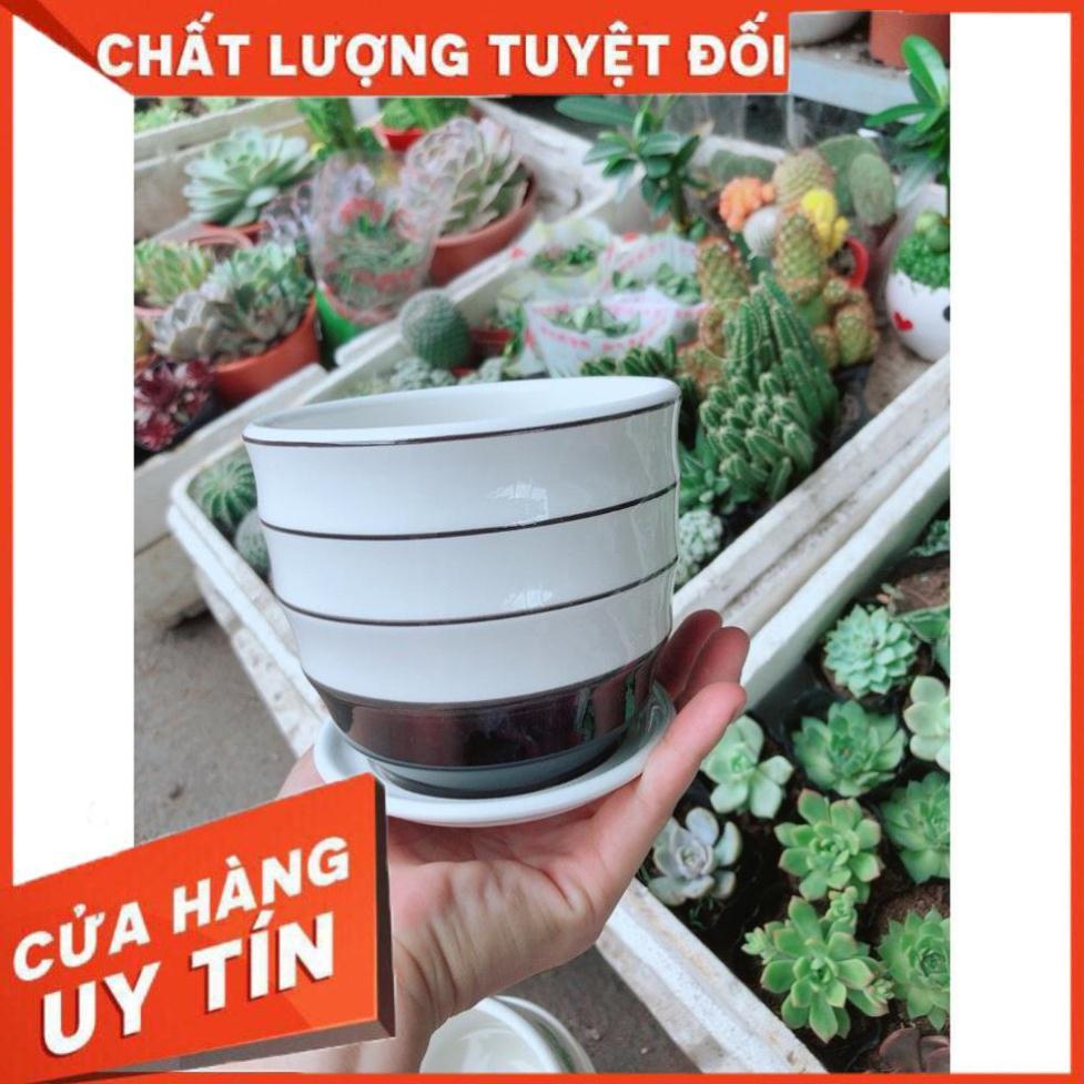 Chậu kiểu trắng đen tráng men cao cấp kèm dĩa lót