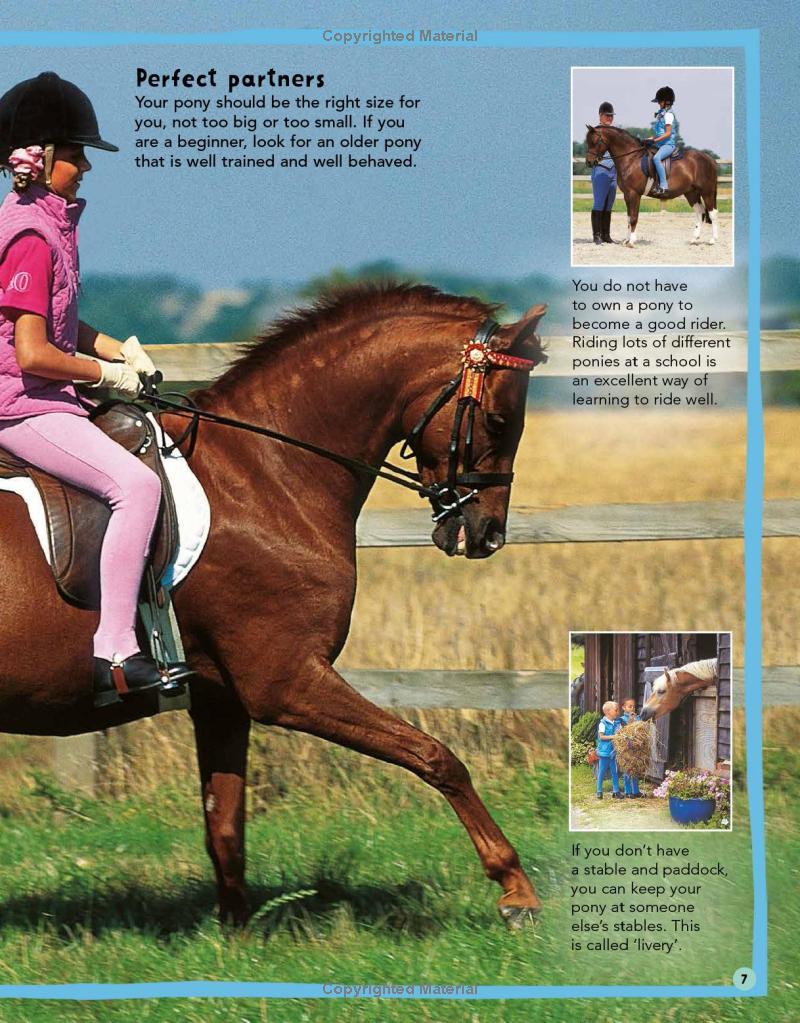 Sách ngoại văn: My First Horse And Pony Care Book