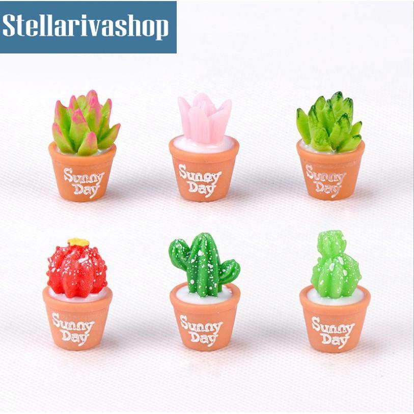 Tiểu Cảnh - Chậu cây sen đá và xương rồng làm tiểu cảnh terrarium/ mô hình trang trí quà tặng trang trí