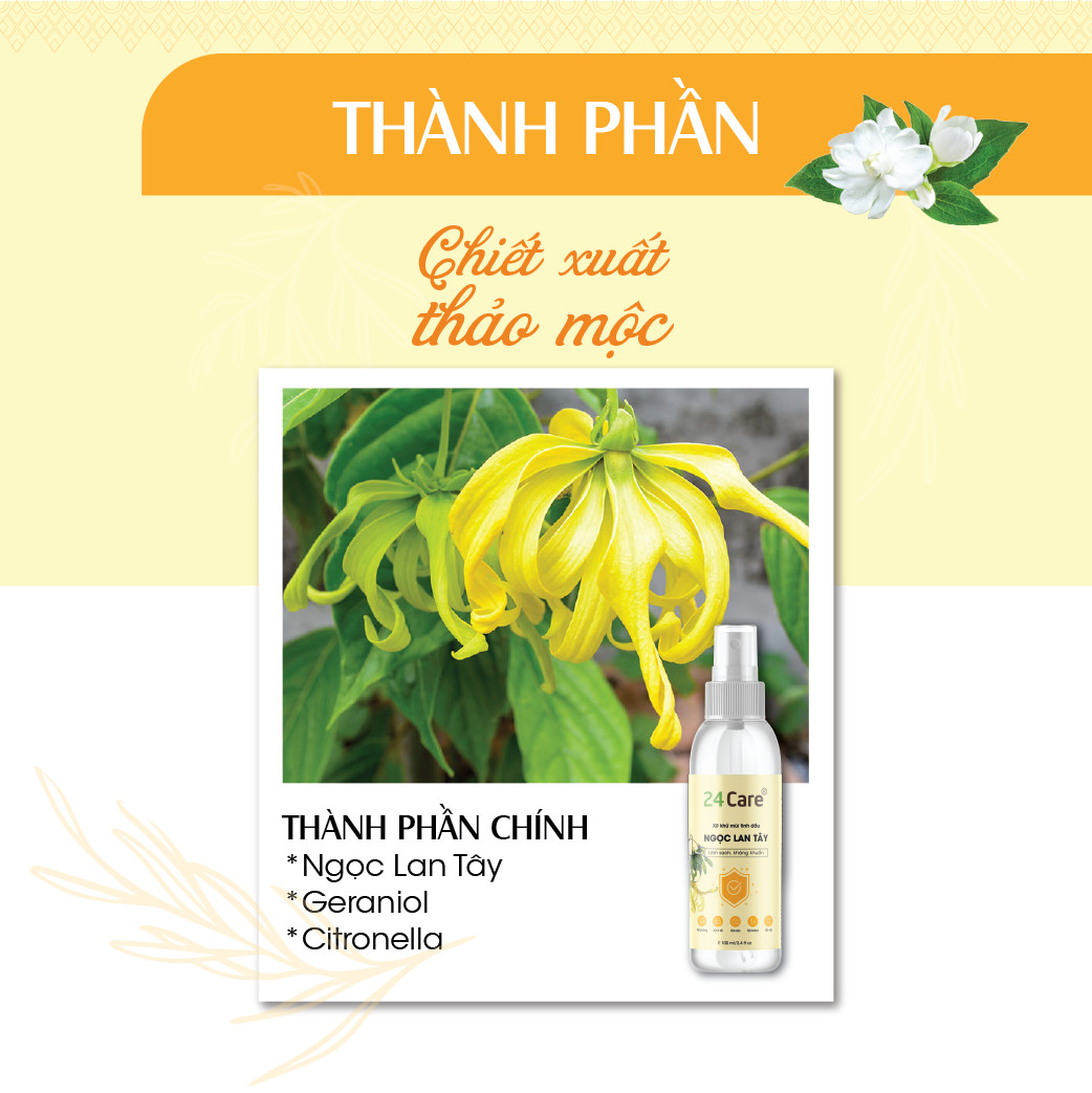 Xịt Phòng Tinh Dầu Ngọc Lan Tây Hữu Cơ Organic 24Care 50ML/100ML - Kháng khuẩn - Khử mùi hôi - Đuổi muỗi, côn trùng - Tạo không gian lãng mạn, hẹn hò - Hương thơm thư giãn.