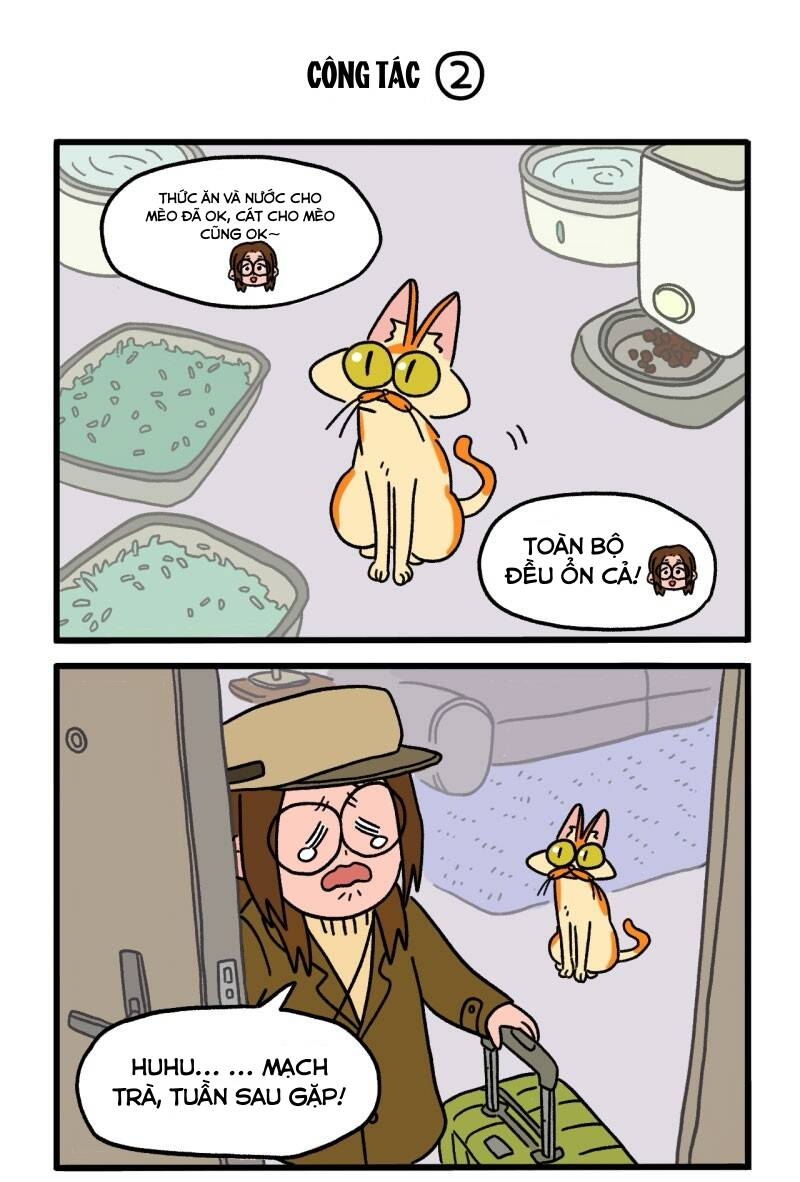 a mãn và mạch trà chapter 6 3