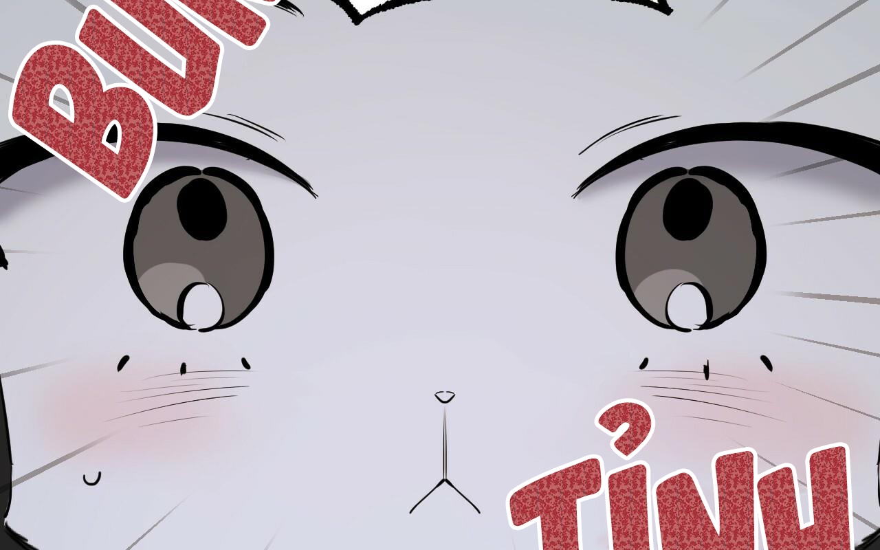 đàn thỏ của habibi chapter 46 10