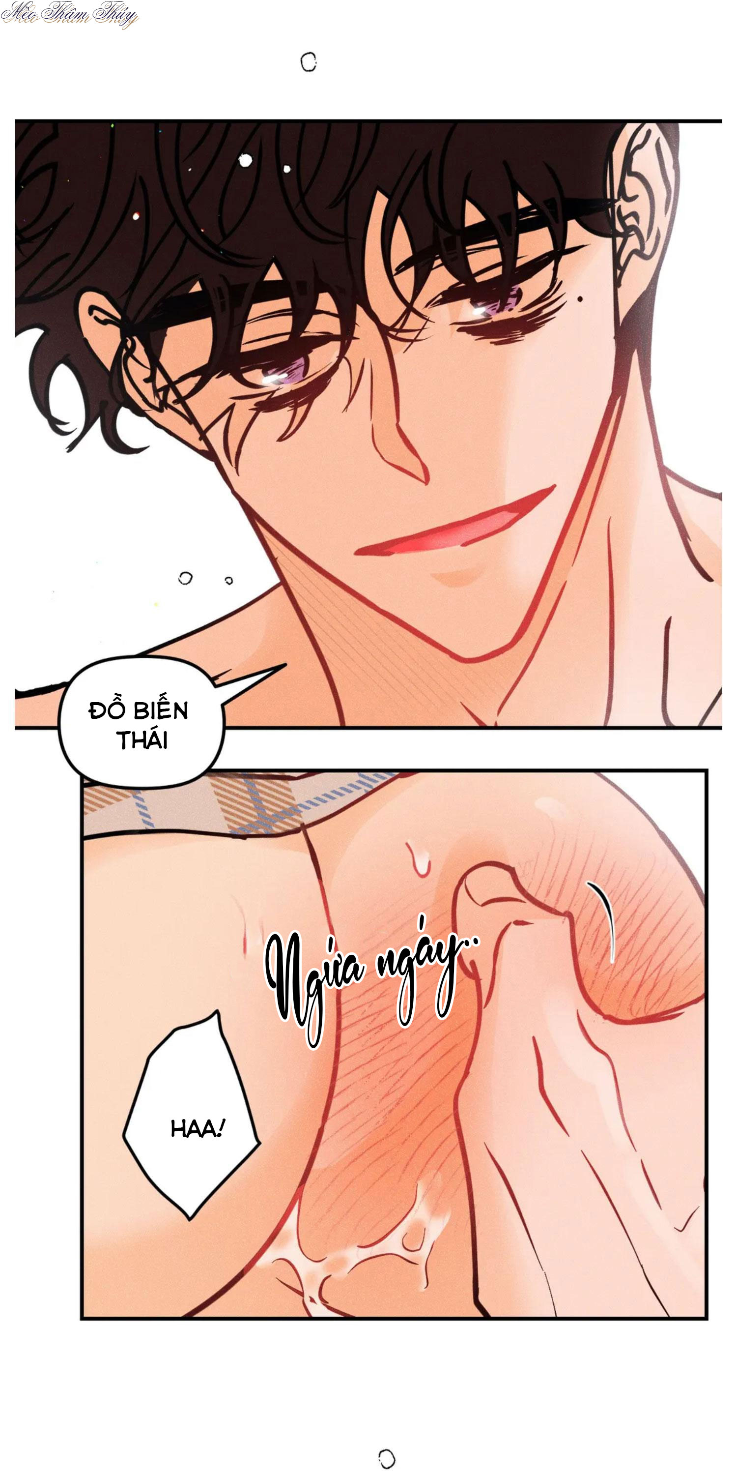 punk dunk funk chapter 41 22