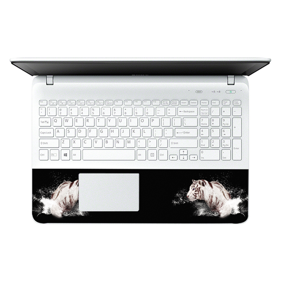 Mẫu Dán Decal Laptop Logo LTNT-264