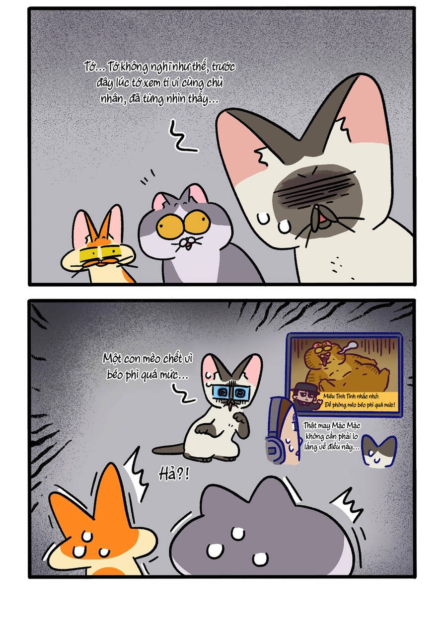 a mãn và mạch trà chapter 134 2