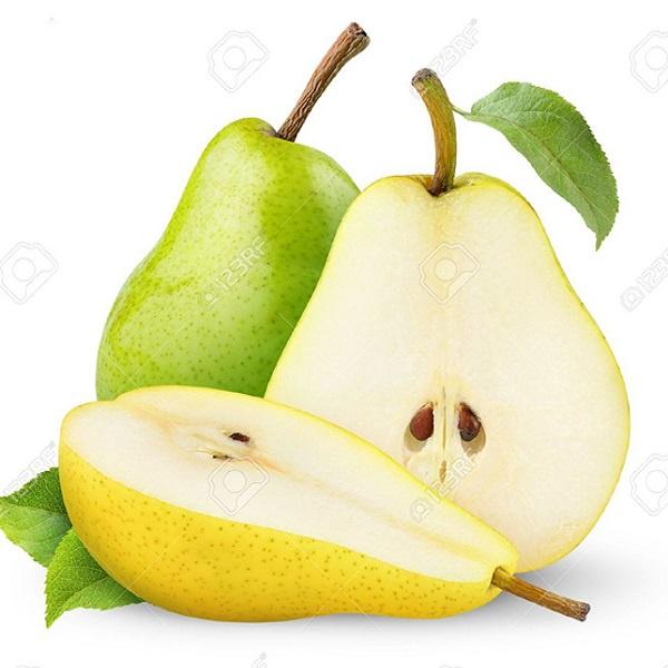 CÂY GIỐNG LÊ VÀNG quả to SIÊU TRÁI.