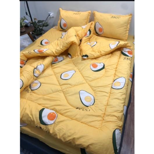 Vỏ chăn poly cotton nhiều mẫu