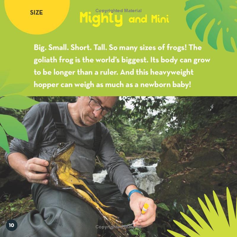 Sách ngoại văn: Go Wild! Frogs