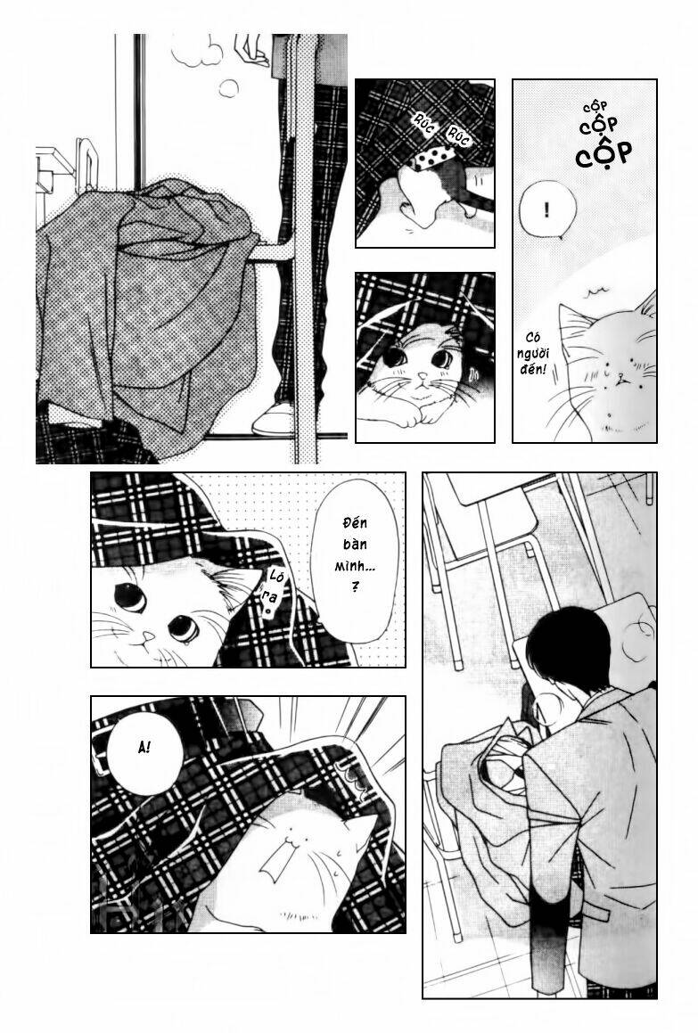 neko neko honey chapter 2 20