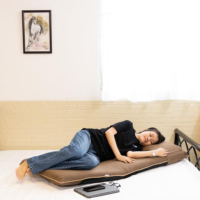 Ghế nằm ngủ tựa lưng đặt trên giường cho bà bầu, người già, ghế chăm sóc bệnh nhân nâng hạ trợ lực bằng cơ C360