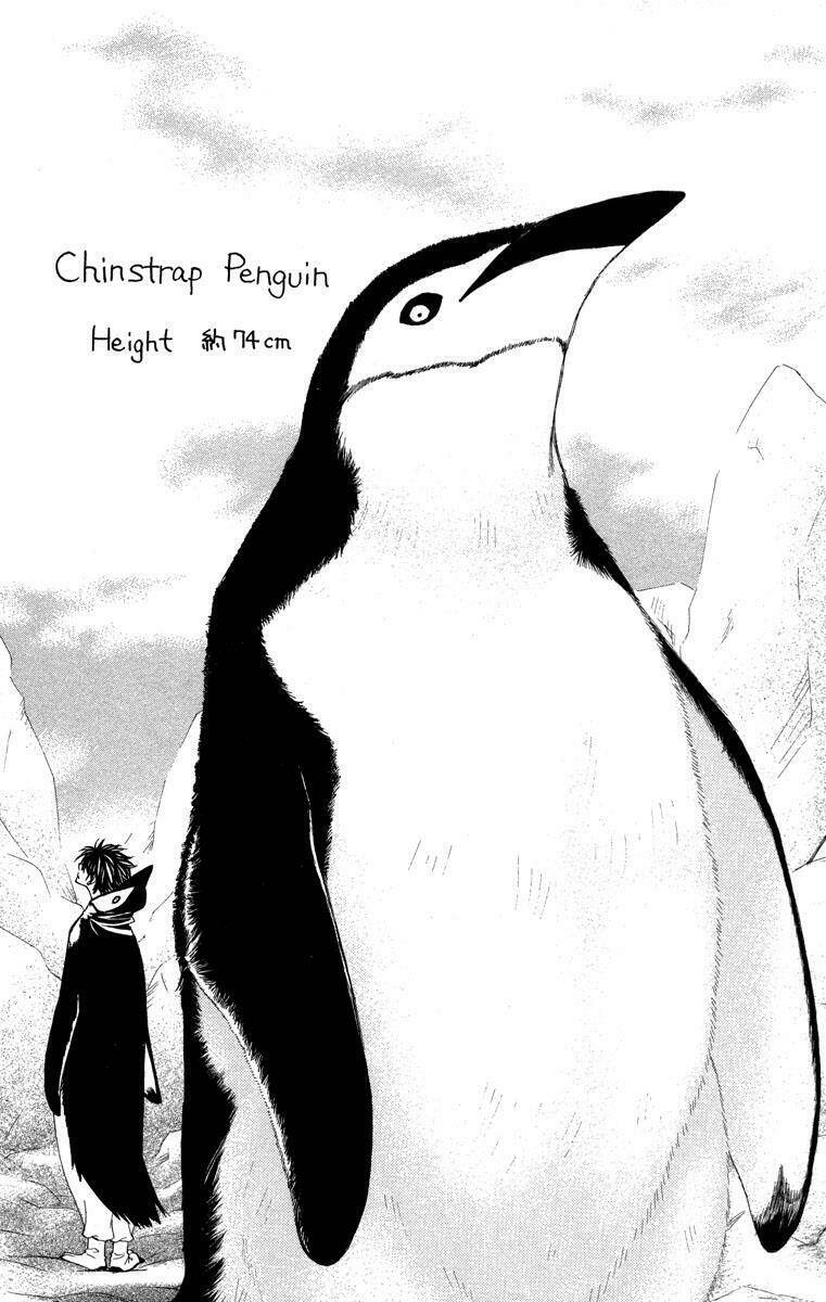 penguin revolution chapter 32 33