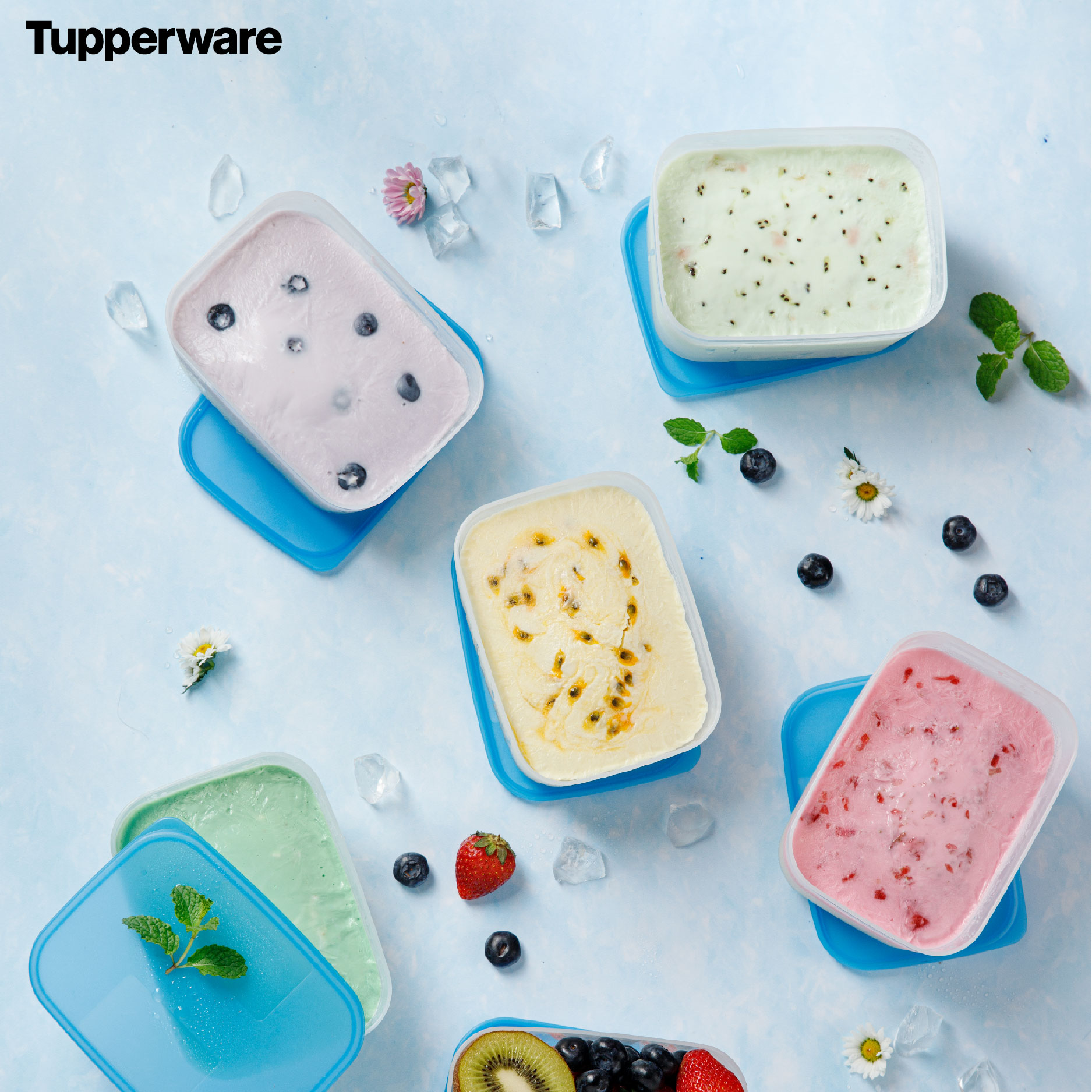 Bộ Hộp Trữ Đông Tupperware Freezermate Basic 650ml (6 Hộp)