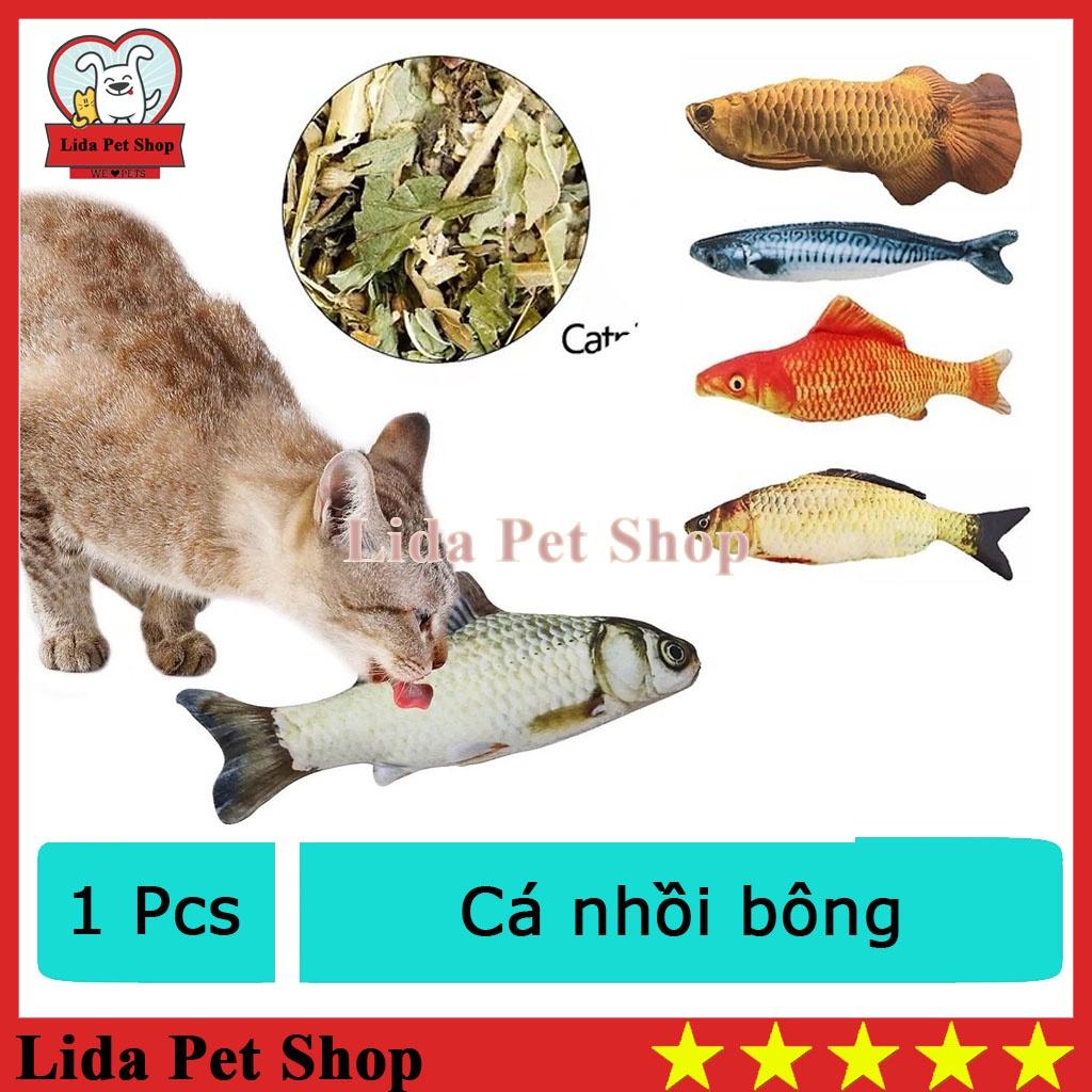 Đồ chơi cá nhồi bông có Cỏ CATNIP - mèo chó xả stress (Ngẫu nhiên)