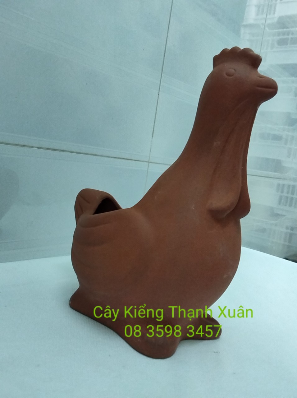 Chậu trồng cây, chậu đất nung hình Con gà, Chậu hình thú trồng cây hoa kiểng, sen đá, xương rông, cây may mắn, cây mini