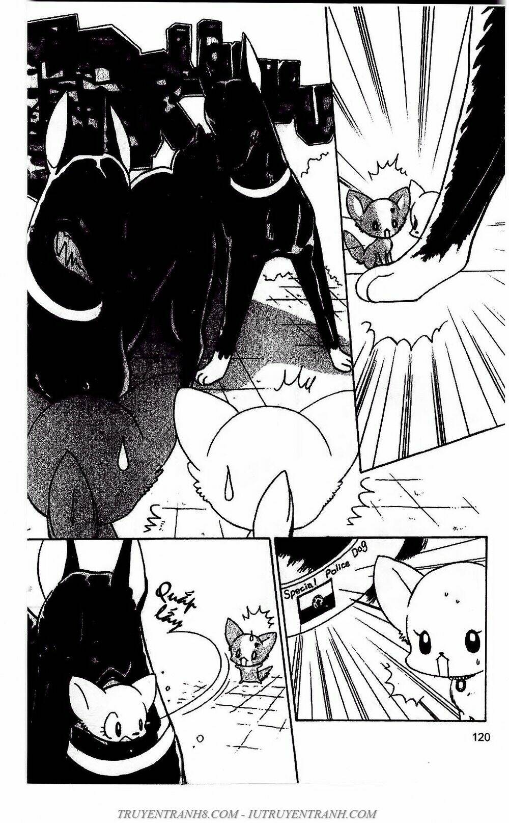 bộ sưu tập lọ lem chapter 51 18