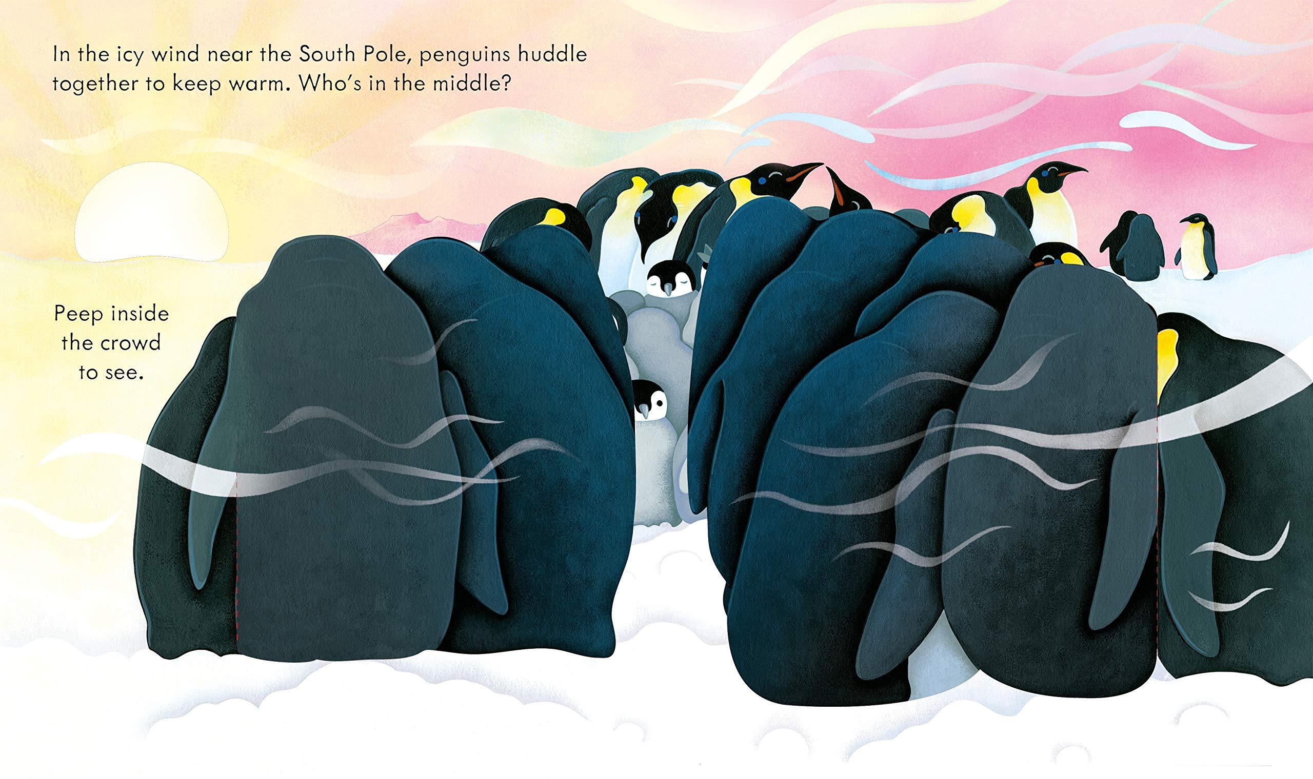 Peep Inside Snowy Places