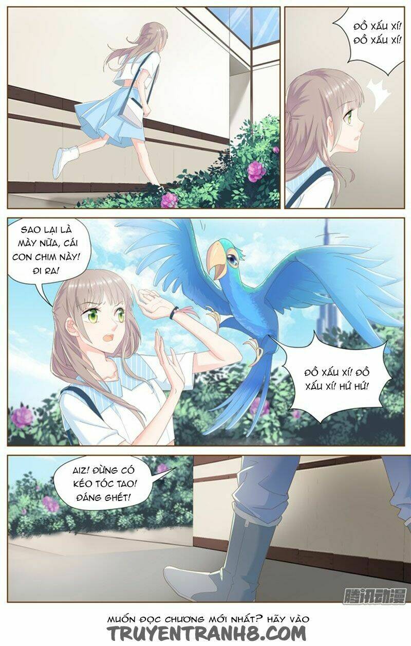 nam thần là quái vật chapter 63 8