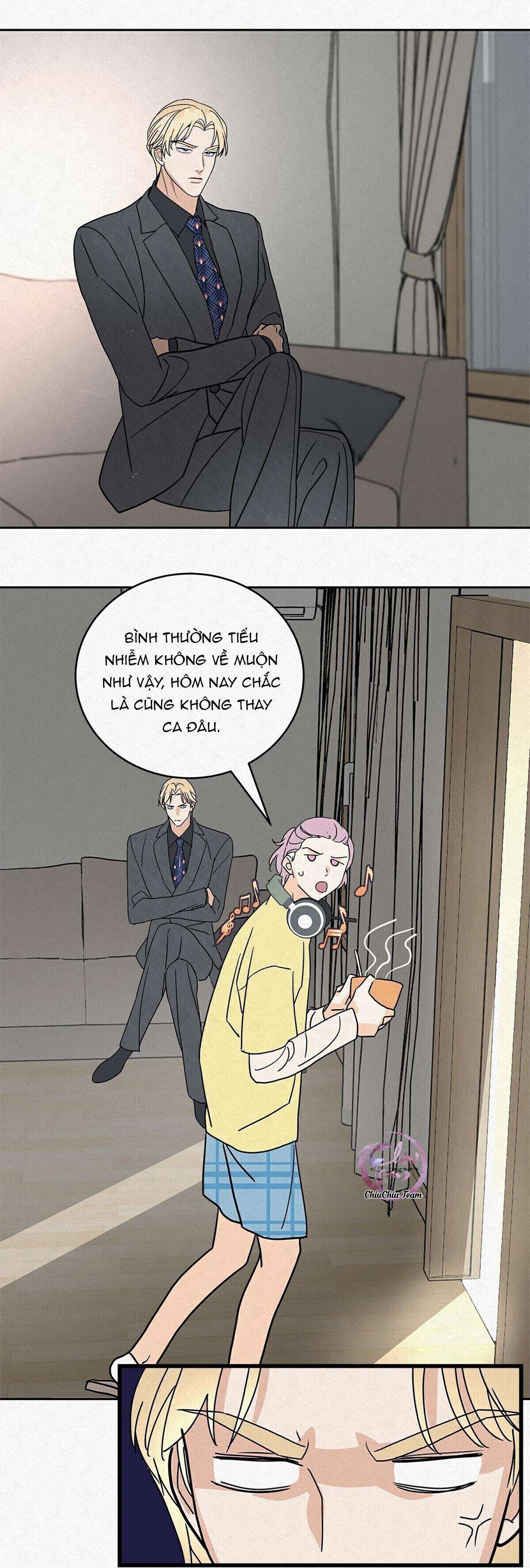 anh trai rẻ tiền của tôi chapter 11 2