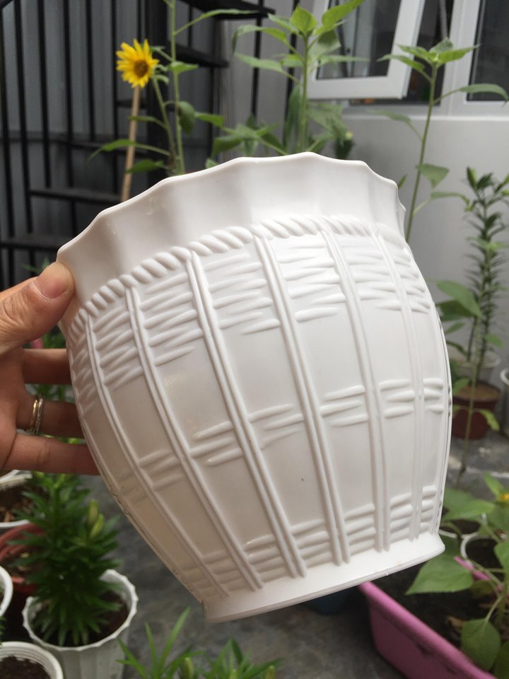 Chậu nhựa tròn bầu giả mây đan 17cm
