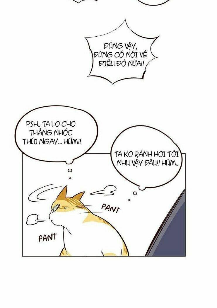 biến thân thành mèo chapter 8 33