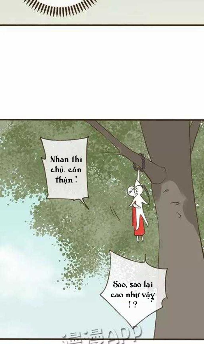 trên trời rớt xuống một hòa thượng ngốc chapter 13 11