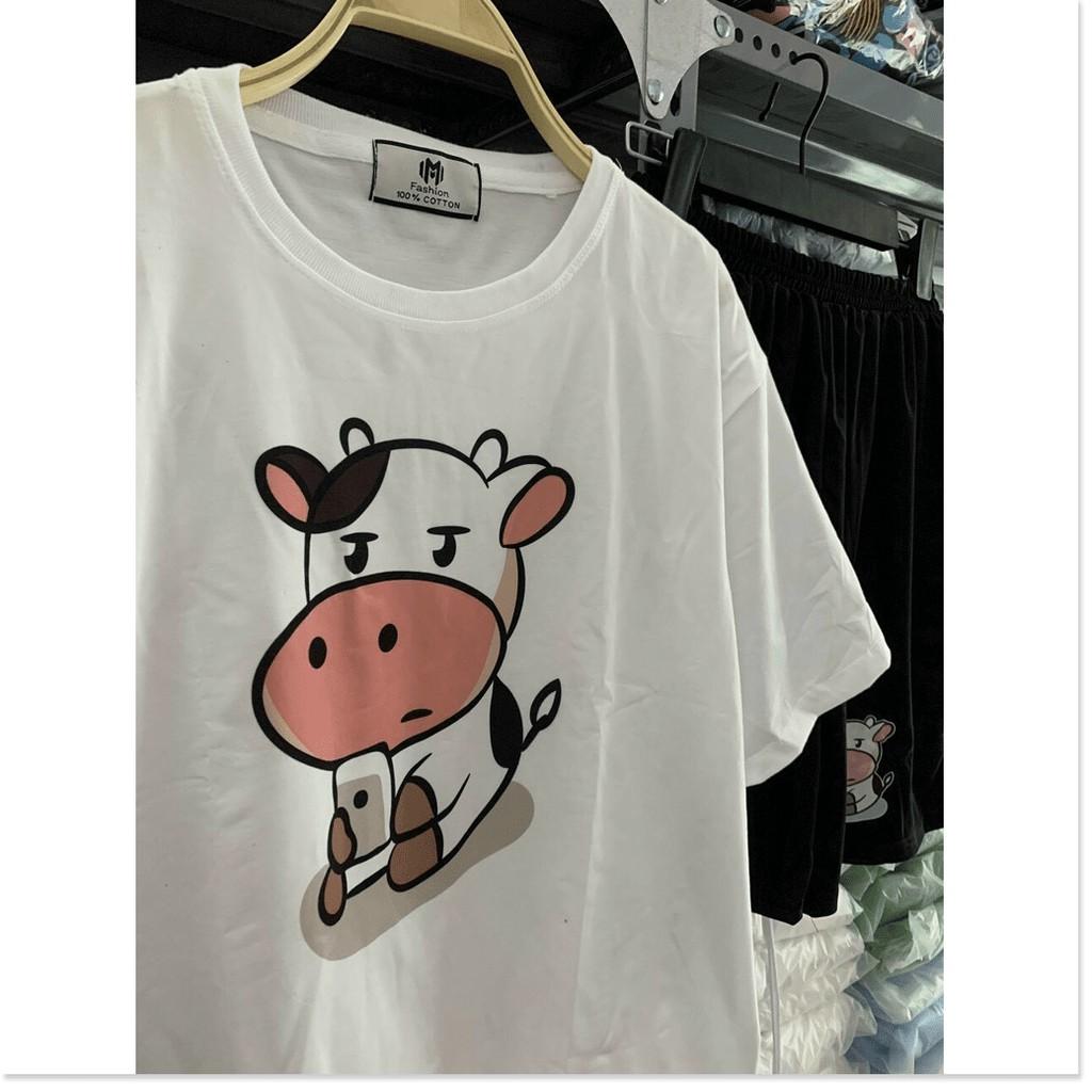 SET BỘ THUN COTTON NỮ XINH XẮN,THIẾT KẾ HỌA TIẾT HỢP THỜI TRANG MÙA HÈ,ĐẶC BIỆT LÀ CHẤT LIỆU VÃI THOÁNG MÁT THỜI TRANG