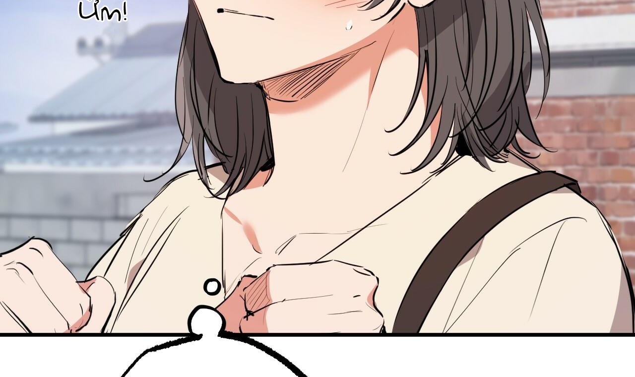 đàn thỏ của habibi chapter 44 166