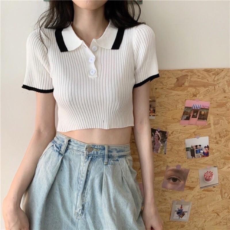 Áo len nữ cộc tay crotop cổ bẻ pha viền hot