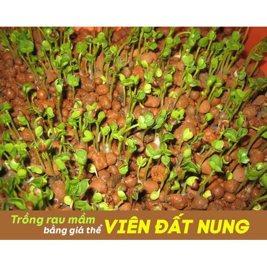 Viên đất nung Sfarm trồng lan, trồng cây, sen đá, làm hệ thống lọc.... túi 5dm