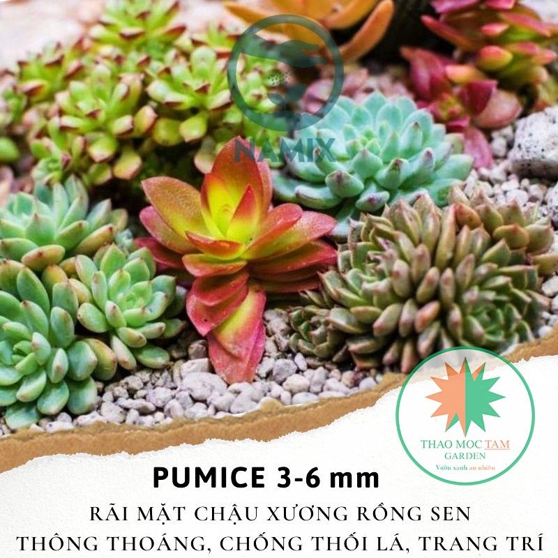 Bao 20Kg Đá Pumice 3-6mm trồng sen đá Namix – Đá bọt size nhỏ chuyên trồng sen đá, xương rồng và các loại cây mọng