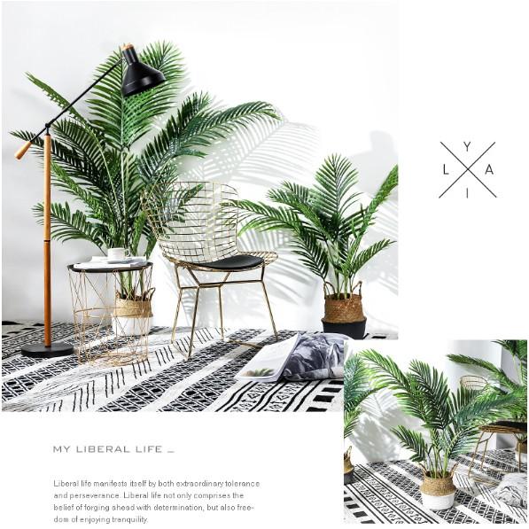 Cây Dừa Cảnh Cao 1 Mét