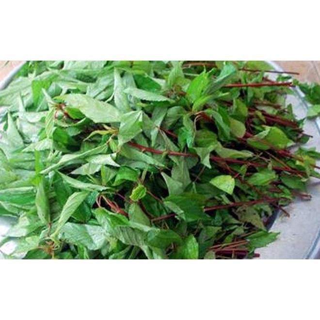 Hạt giống rau đay