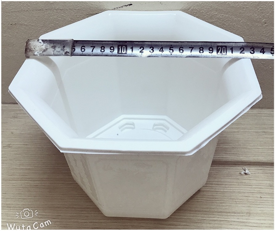 3 Chậu Nhựa Bát Giác 210x170 Màu Trắng