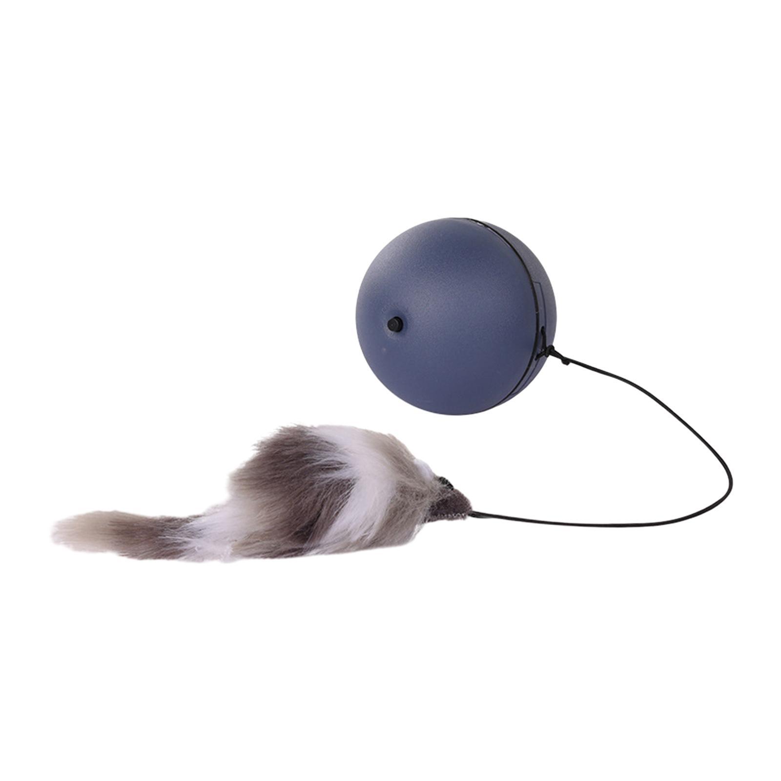 Interactive Toy Interactive Cat Toys Ball Teaser Toys Catcher Toy Feather Toy Electric Cat Balls for Cats Exercise