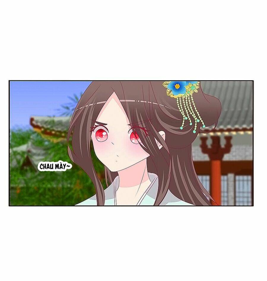 tướng quân mời ra trận chapter 181 13