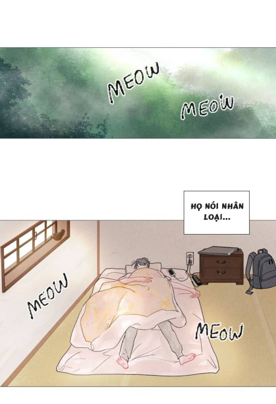 tình yêu như một giấc mộng hè chapter 2 26