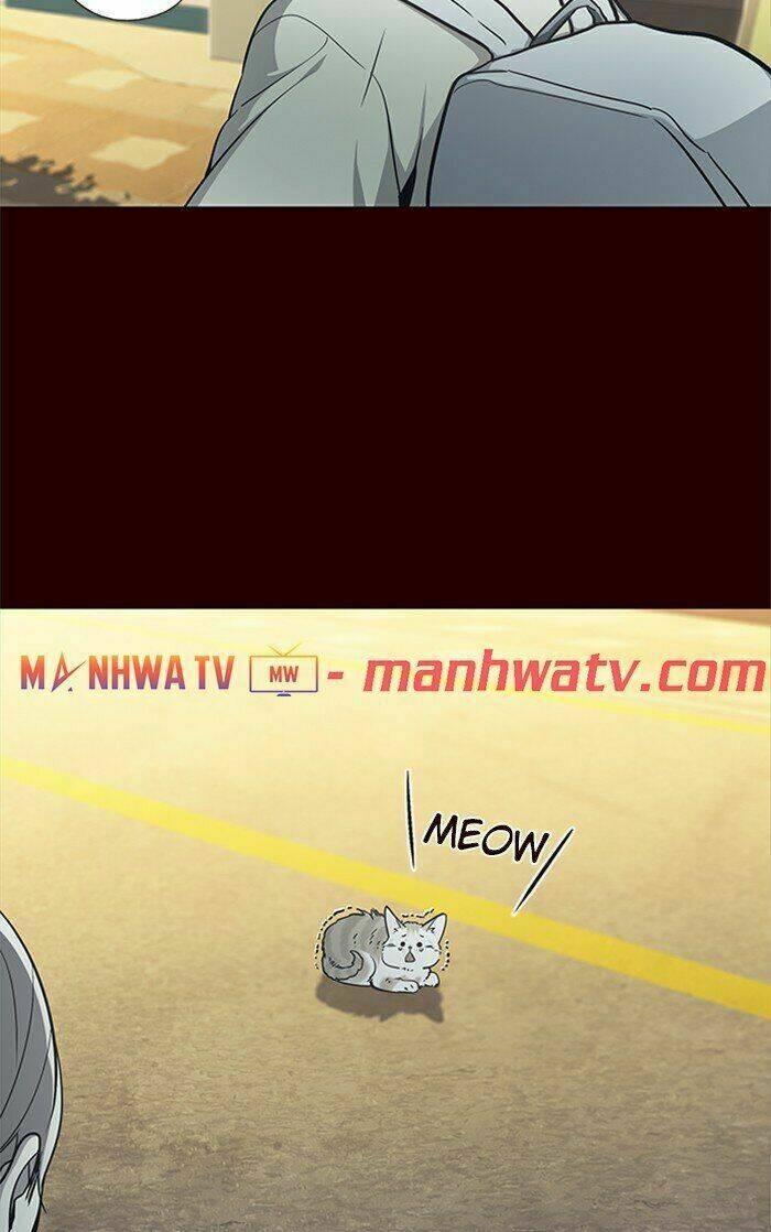 biến thân thành mèo chapter 27 7