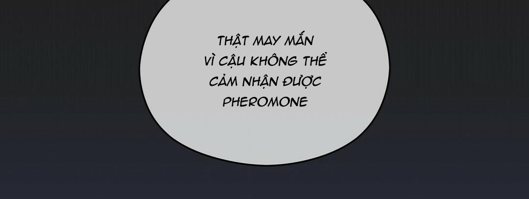 phức cảm tự ti của omega chapter 17 190