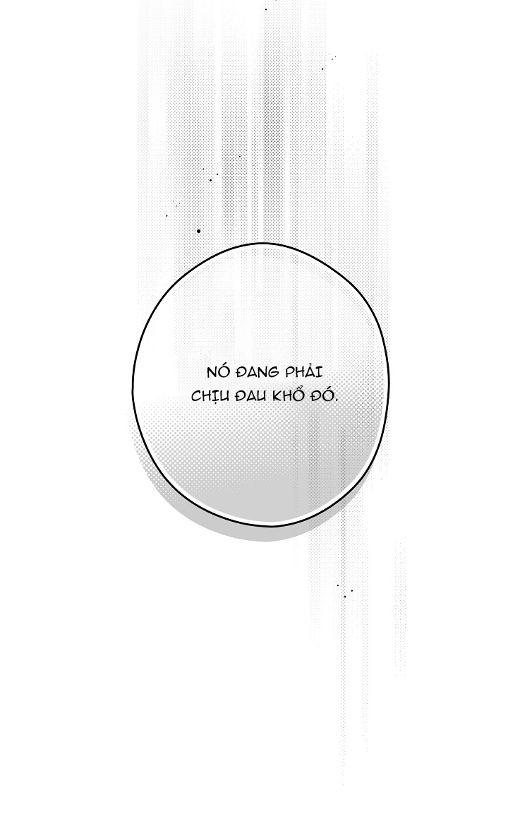 tiểu thư bí ẩn chapter 16 51