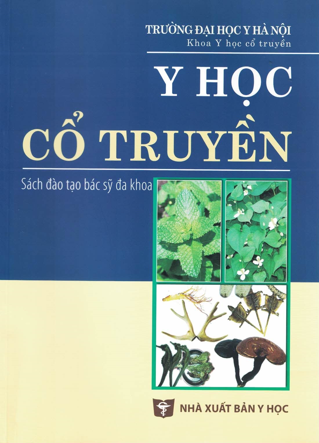 Y Học Cổ Truyền