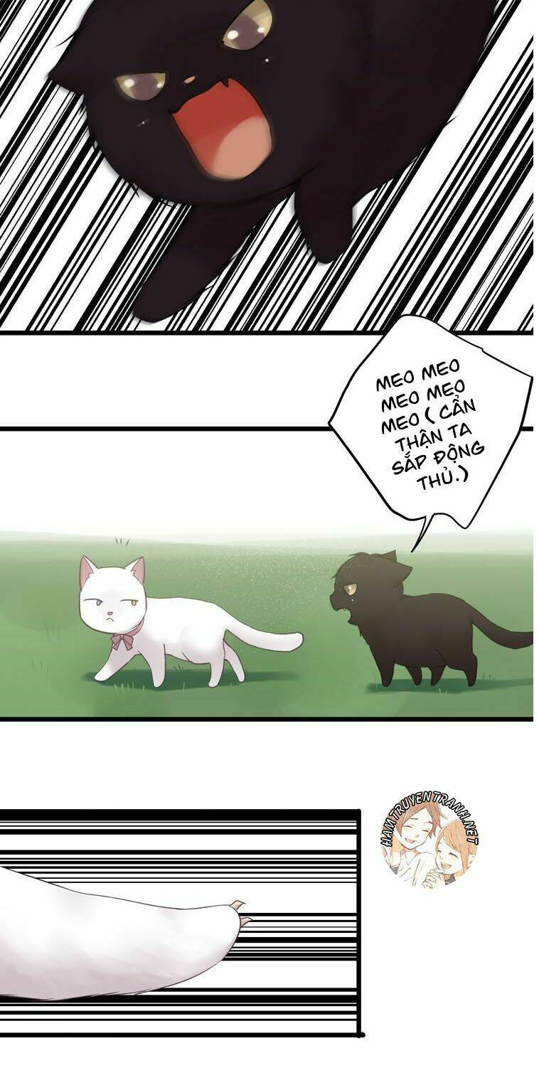 viện bảo tàng tâm nguyện chapter 21.2 11