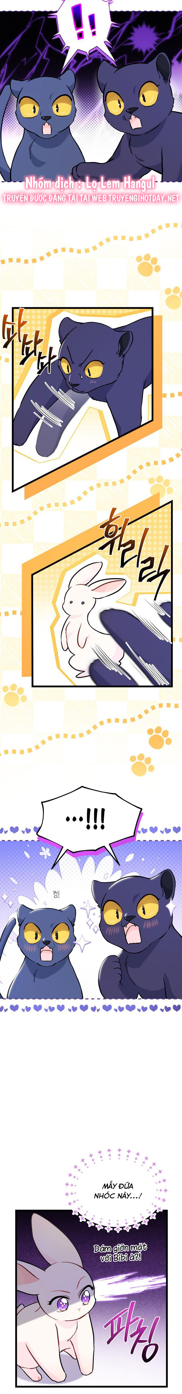 mối liên kết giữa báo đen và bé thỏ chapter 134 6